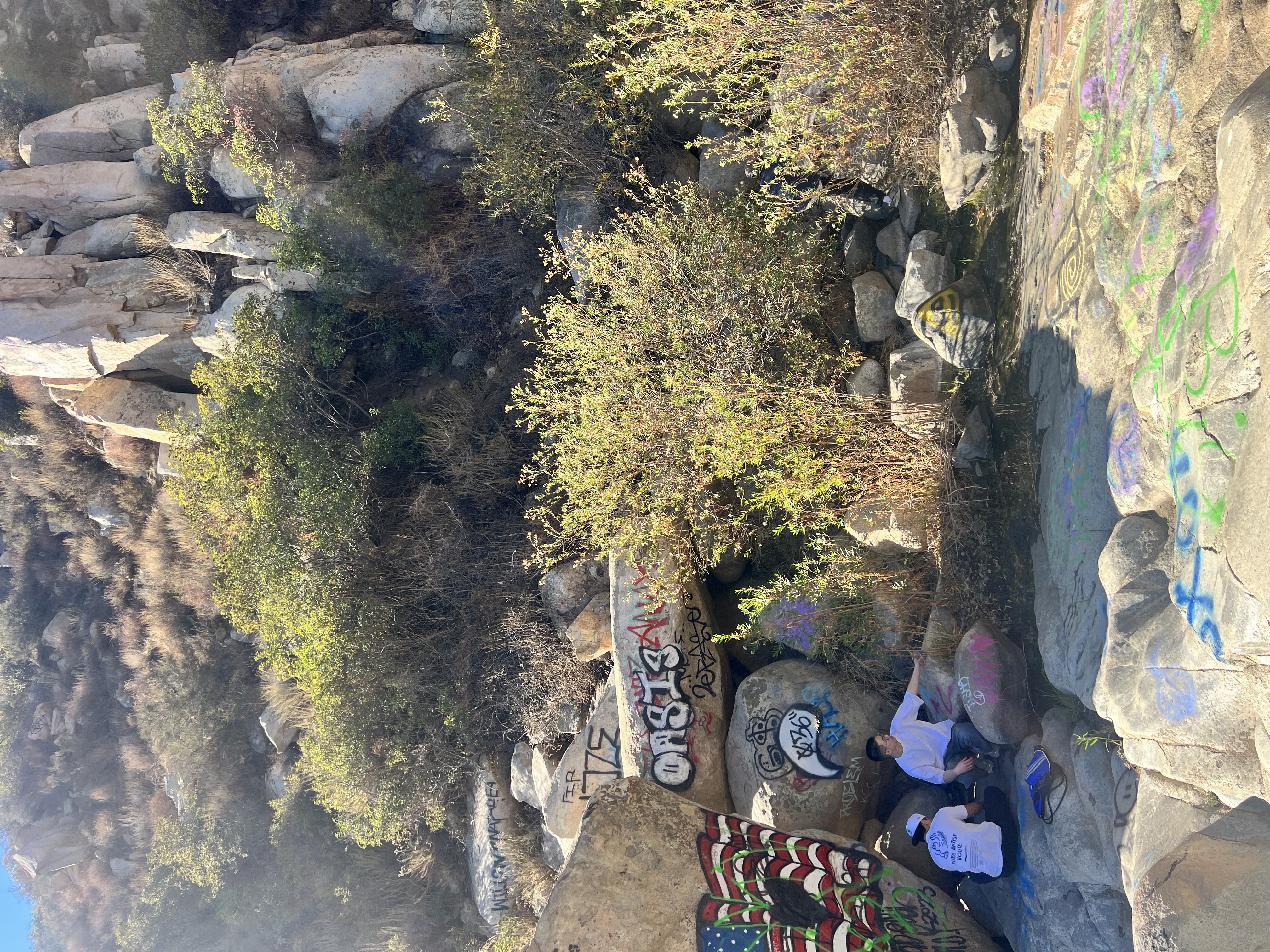 Lake Arrowhead